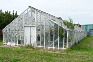 Contaminated land/ Site Investigation of orchard and glasshouse